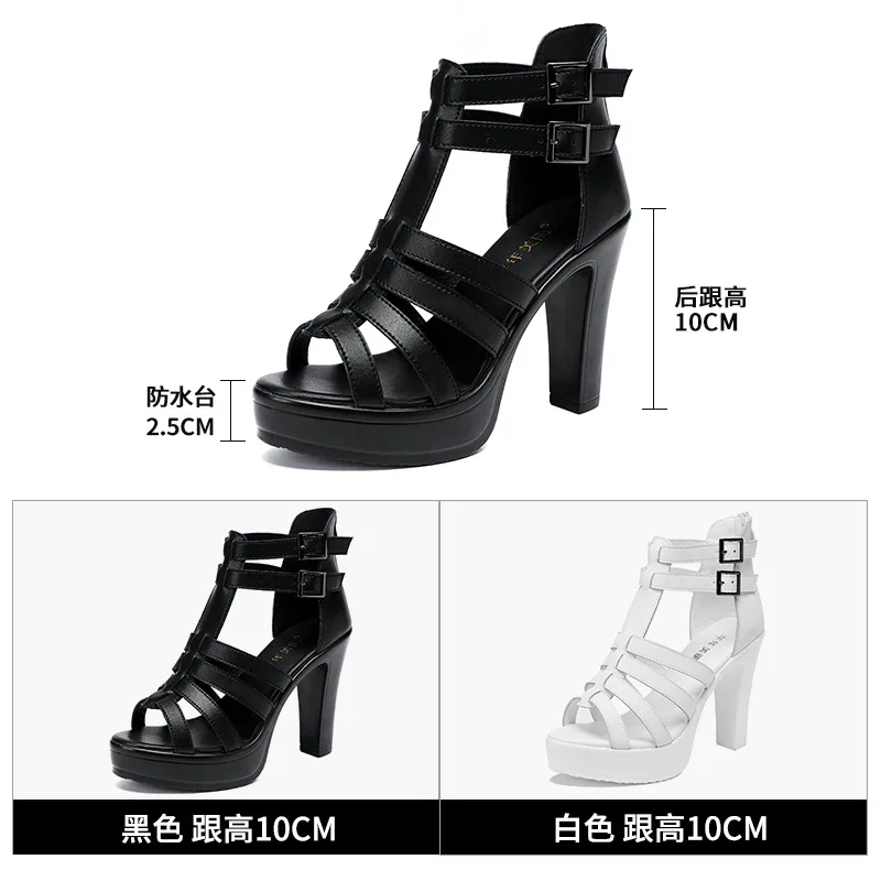 Gladiator-Damenschuh für Damen – Summer Clothing Stores Bewertung und Preis